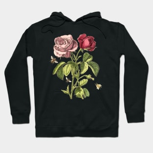 Rose Flowers with Bees, Vintage Botanical Illustration Collage Hoodie